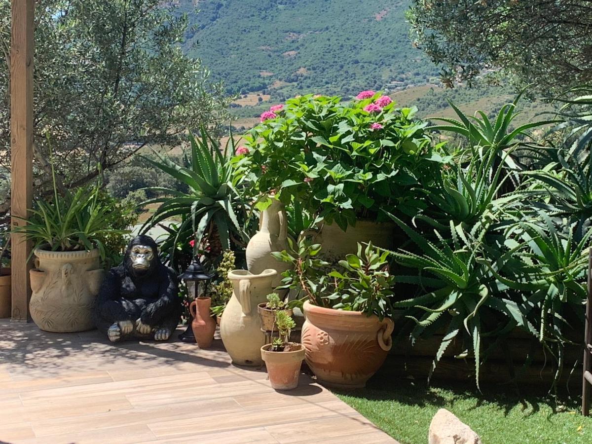 Residence Paradisu Ajaccio Appietto Exterior photo